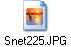 Snet225.JPG